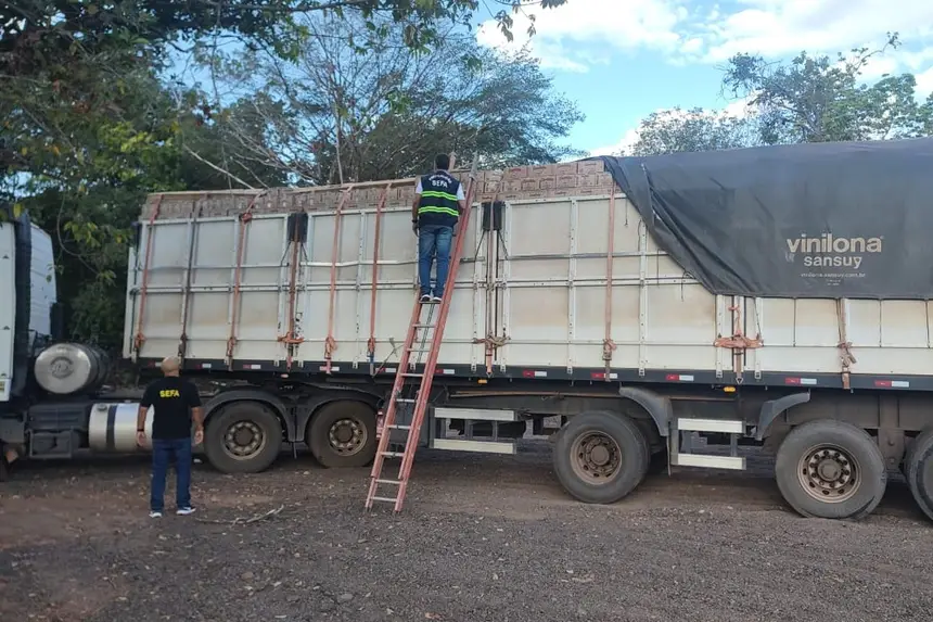 Sefa apreende carga com 25 toneladas de açaí e quase 77 mil garrafas de aguardente no Pará