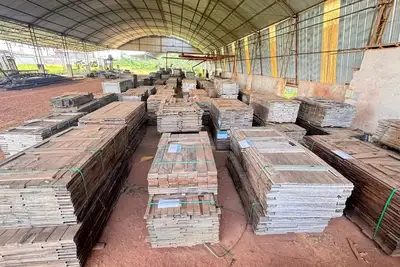 notícia: Semas realiza em Belém leilão presencial de motores de rabeta e madeira decking